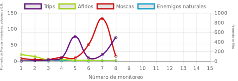 Grafico poblacion